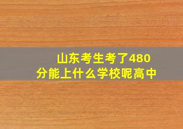 山东考生考了480分能上什么学校呢高中