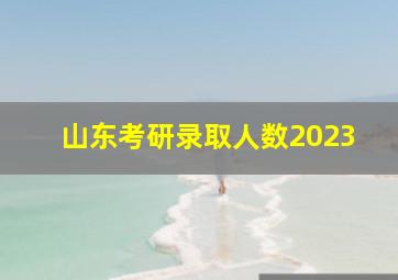 山东考研录取人数2023