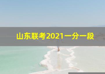 山东联考2021一分一段