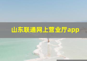 山东联通网上营业厅app