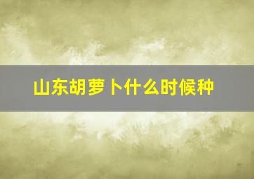 山东胡萝卜什么时候种