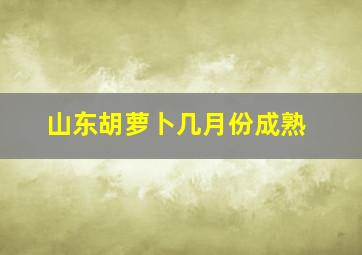 山东胡萝卜几月份成熟