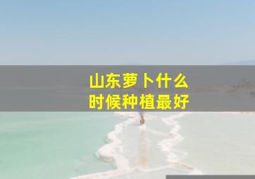 山东萝卜什么时候种植最好