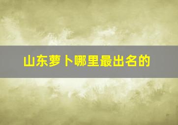 山东萝卜哪里最出名的