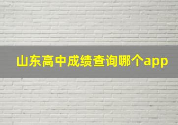 山东高中成绩查询哪个app