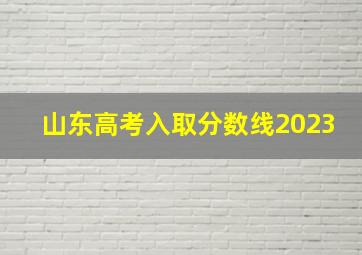 山东高考入取分数线2023