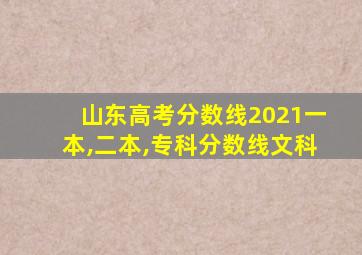 山东高考分数线2021一本,二本,专科分数线文科