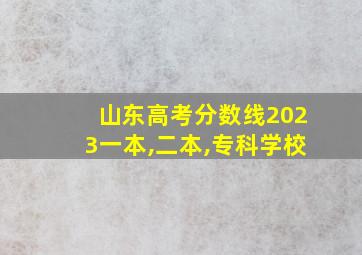 山东高考分数线2023一本,二本,专科学校