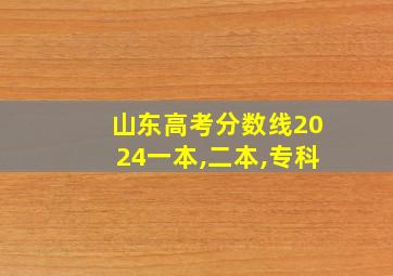 山东高考分数线2024一本,二本,专科