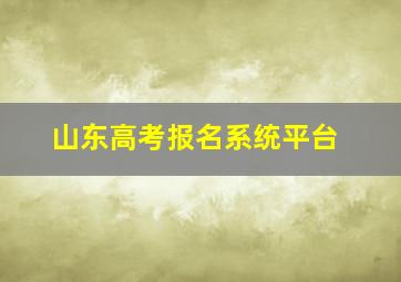 山东高考报名系统平台