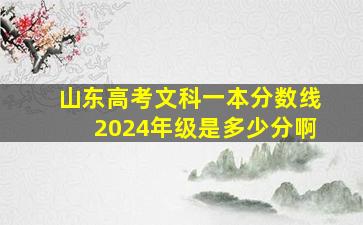 山东高考文科一本分数线2024年级是多少分啊