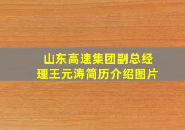 山东高速集团副总经理王元涛简历介绍图片