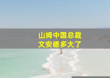 山姆中国总裁文安德多大了