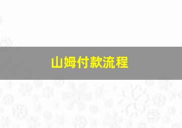 山姆付款流程