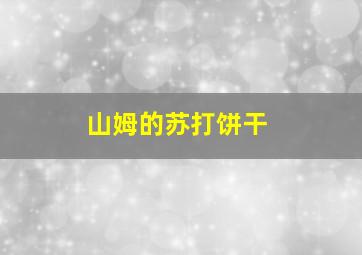 山姆的苏打饼干