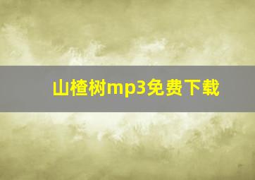 山楂树mp3免费下载