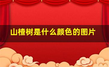 山楂树是什么颜色的图片