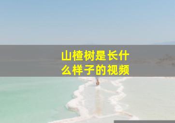 山楂树是长什么样子的视频