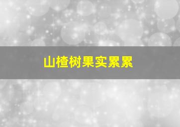 山楂树果实累累