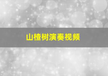 山楂树演奏视频