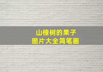 山楂树的果子图片大全简笔画