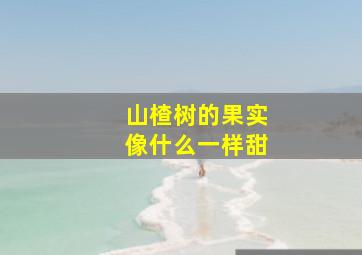 山楂树的果实像什么一样甜