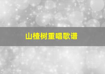 山楂树重唱歌谱