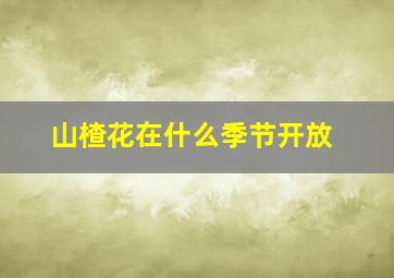 山楂花在什么季节开放