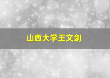 山西大学王文剑