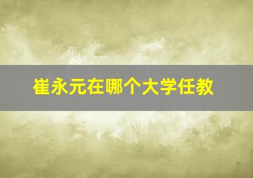 崔永元在哪个大学任教