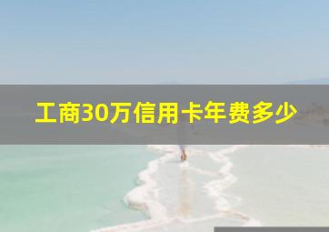 工商30万信用卡年费多少