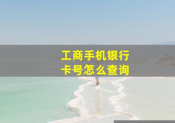 工商手机银行卡号怎么查询