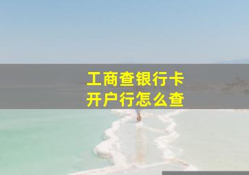 工商查银行卡开户行怎么查