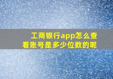 工商银行app怎么查看账号是多少位数的呢