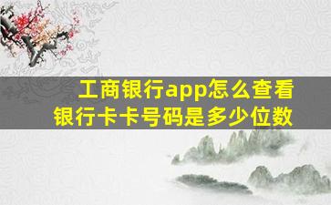 工商银行app怎么查看银行卡卡号码是多少位数