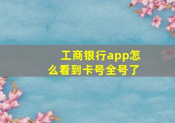 工商银行app怎么看到卡号全号了