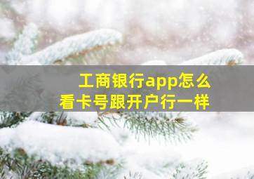 工商银行app怎么看卡号跟开户行一样