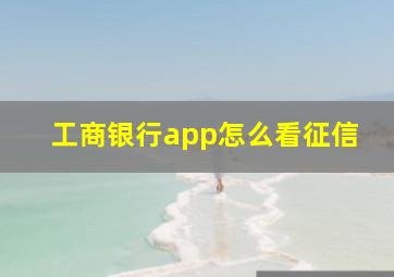 工商银行app怎么看征信