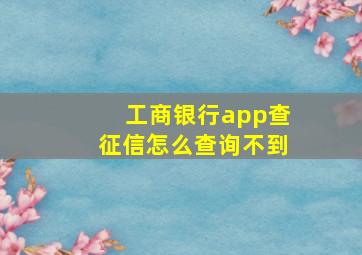 工商银行app查征信怎么查询不到