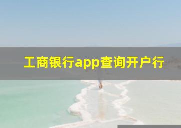 工商银行app查询开户行