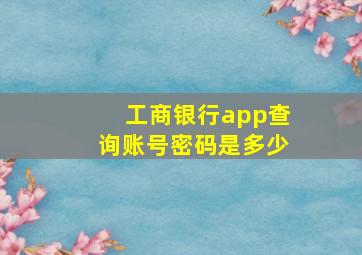 工商银行app查询账号密码是多少