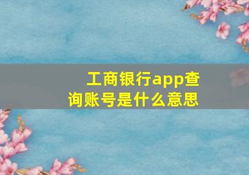 工商银行app查询账号是什么意思