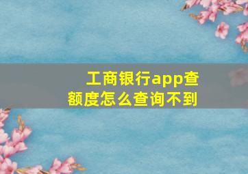 工商银行app查额度怎么查询不到