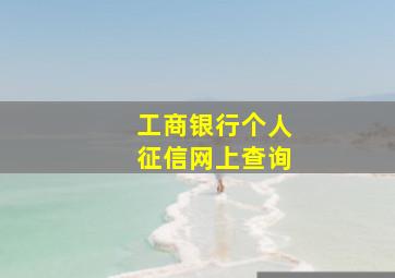 工商银行个人征信网上查询