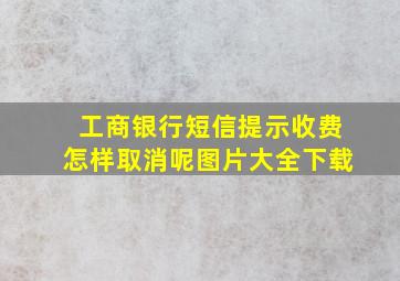 工商银行短信提示收费怎样取消呢图片大全下载