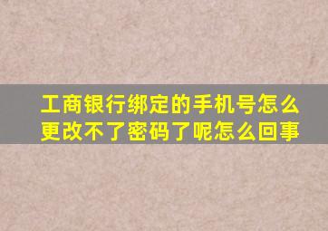 工商银行绑定的手机号怎么更改不了密码了呢怎么回事