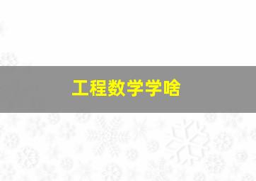 工程数学学啥