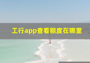 工行app查看额度在哪里