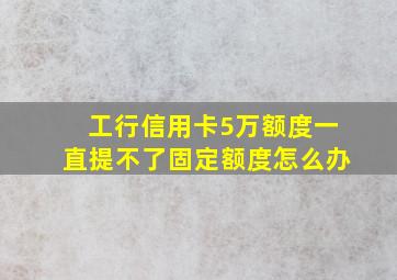 工行信用卡5万额度一直提不了固定额度怎么办