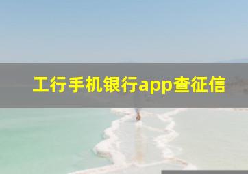 工行手机银行app查征信